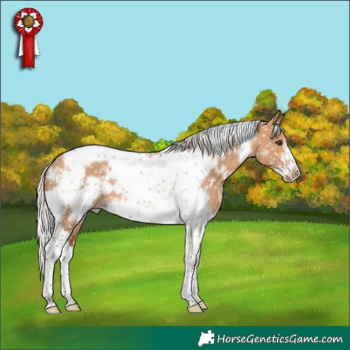 Horse Color:White Spotted Silver Bay Dun Tobiano Frame Snowflake Varnish