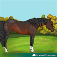 Horse Color:Brown 