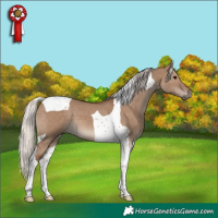 Horse Color:Silver Grullo Tobiano 