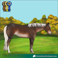 Horse Color:Liver Chestnut Mushroom 