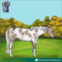 Horse Color:White Spotted Silver Brown Dun Mushroom 