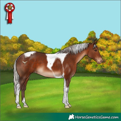 Horse Color:Silver Brown Tobiano Varnish 