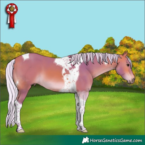 Horse Color:Watercolor Silver Bay Tobiano 
