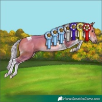 Horse Color:Watercolor Silver Bay Tobiano 