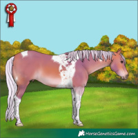 Horse Color:Watercolor Silver Bay Tobiano 