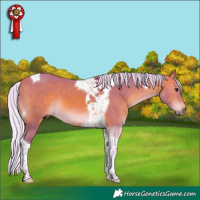 Horse Color:Watercolor Silver Bay Tobiano 