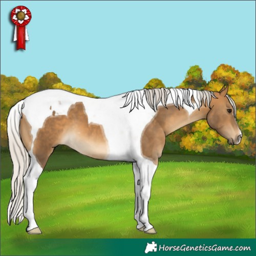 Horse Color:Silver Buckskin Tobiano 