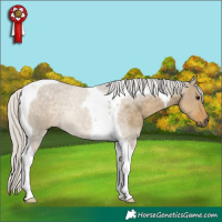 Horse Color:Silver Smoky Grullo Tobiano 