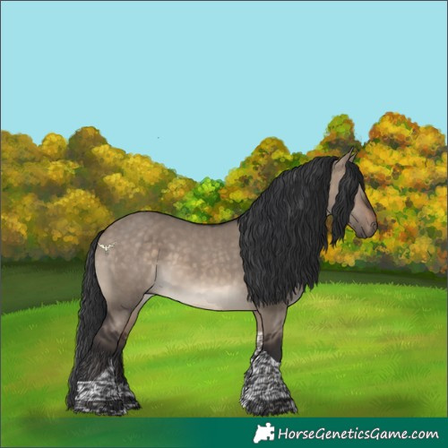 Horse Color:Brown Dun Tobiano 