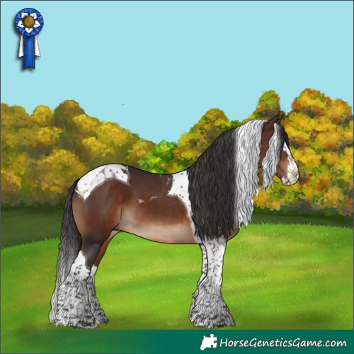Horse Color:Brown Splash Tobiano 