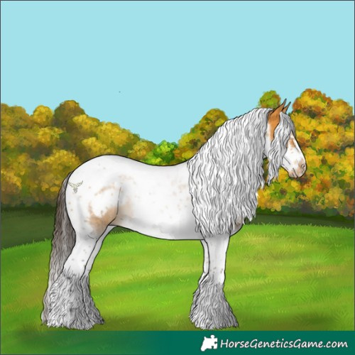 Horse Color:Buckskin Splash Tobiano Frame 