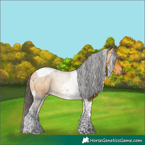 Horse Color:Buckskin Tobiano 