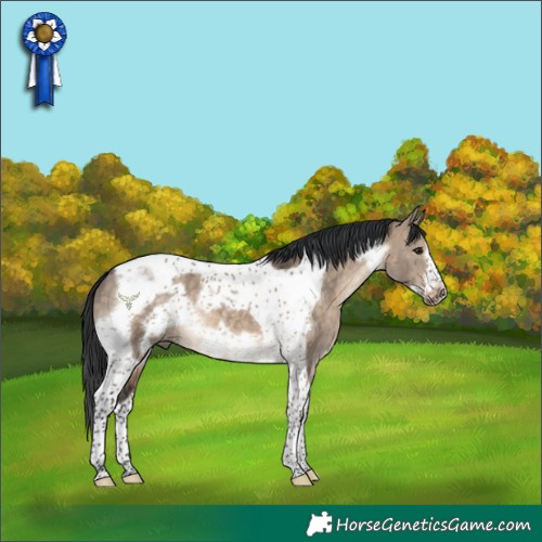 Horse Color:Brown Dun Tobiano Frame 