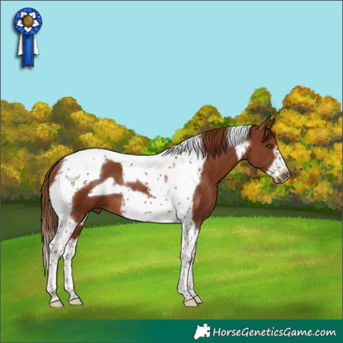 Horse Color:Chestnut Tobiano Frame 