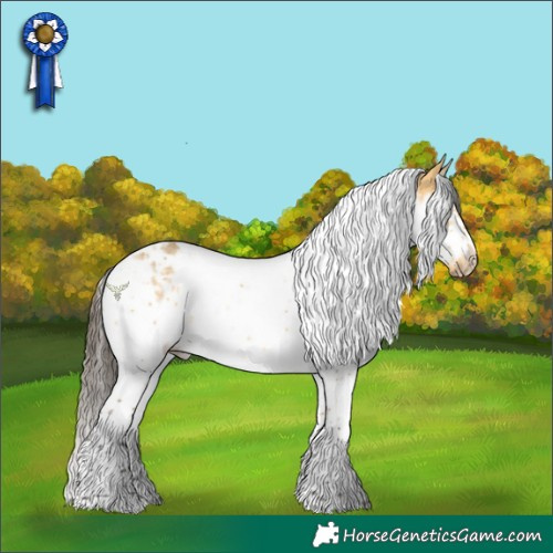 Horse Color:Buckskin Dun Splash Tobiano Frame 