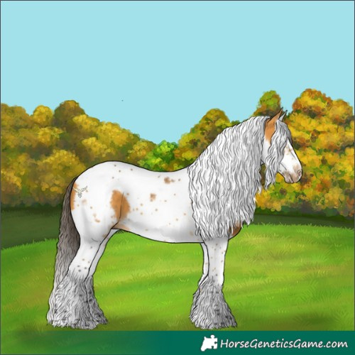 Horse Color:Buckskin Splash Tobiano Frame 