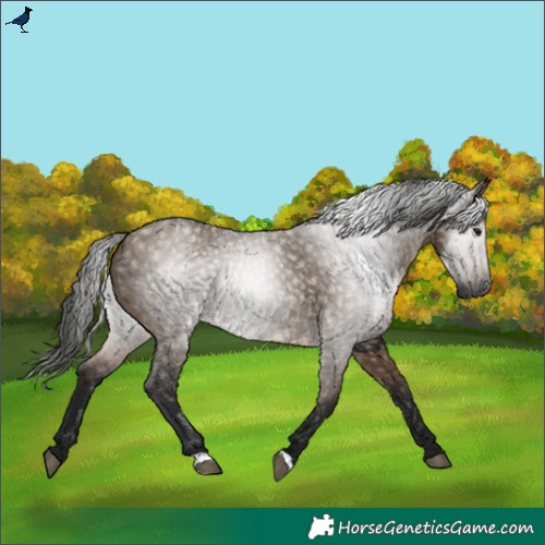 Horse Color:Gray Bay Dun 