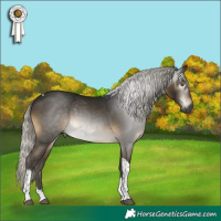 Horse Color:Gray Silver Buckskin Tobiano