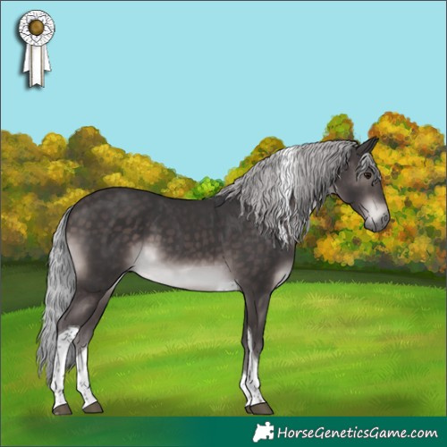Horse Color:Platinum Silver Brown Tobiano 