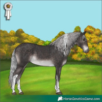 Horse Color:Platinum Silver Brown Tobiano