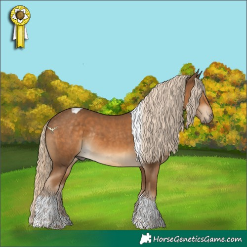 Horse Color:Chocolate Palomino Tobiano Rabicano 