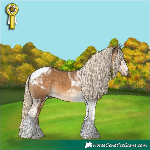 Horse Color:Chocolate Palomino Tobiano 