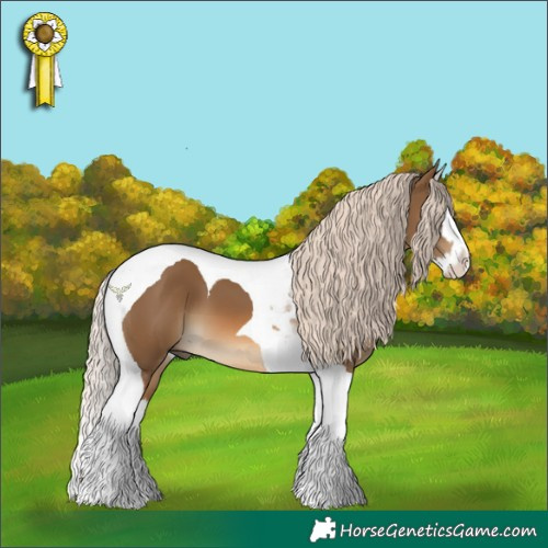 Horse Color:Chocolate Palomino Splash Tobiano 