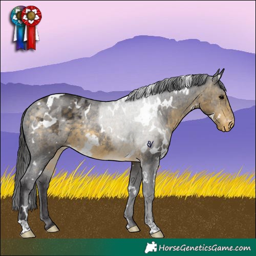 Horse Color:White Spotted Buckskin Varnish Rabicano 