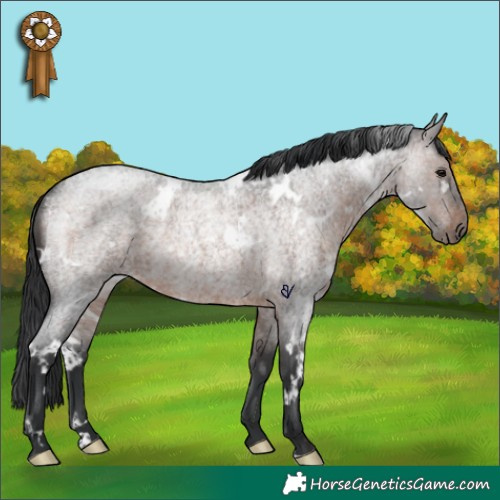 Horse Color:White Spotted Brown Roan Rabicano 