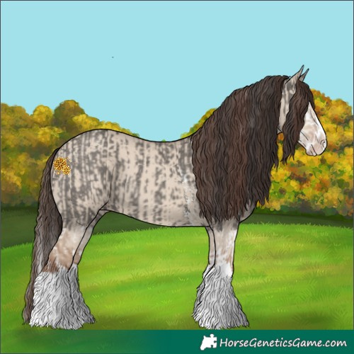 Horse Color:Grullo Sabino Splash  and Classic Champagne Dun Sabino Splash 