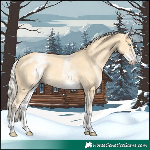 Horse Color:White Spotted Gold Cream Champagne 