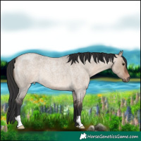 Horse Color:Brown Roan Dun Rabicano