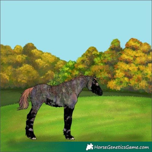 Horse Color:Void Nacre White Spotted Red Dun Ice Roan Onyx Splash 