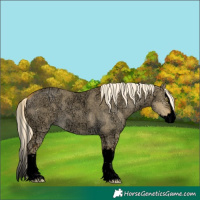 Horse Color:Void Palomino Ice Roan Dun Splash 