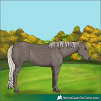 Horse Color:Silver Black 