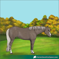 Horse Color:Silver Black 