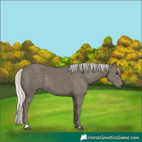 Horse Color:Silver Smoky Black 