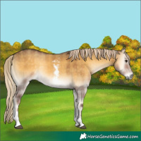 Horse Color:Plaid Chocolate Palomino Onyx Sabino