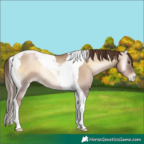 Horse Color:Liver Red Dun Pearl Onyx Tobiano 