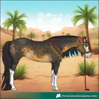 Horse Color:White Spotted Buckskin