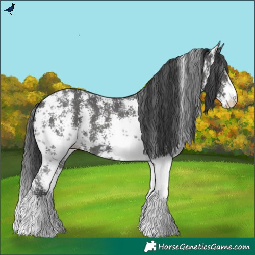 Horse Color:Black Sabino