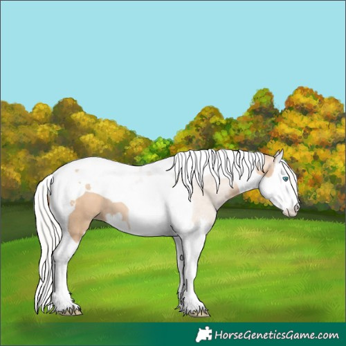 Horse Color:Silver Brown Pearl Dun Sabino Splash Tobiano 