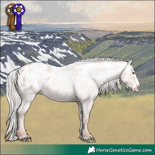 Horse Color:White Spotted Silver Sable Champagne Ice Roan Frame Blanket 