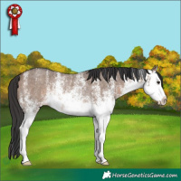 Horse Color:White Spotted Brown Dun Splash Rabicano 
