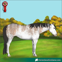 Horse Color:White Spotted Brown Dun Splash Rabicano 
