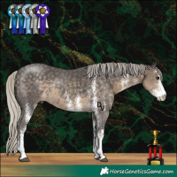 Horse Color:White Spotted Silver Smoky Black Rabicano 