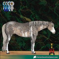 Horse Color:White Spotted Silver Smoky Black Rabicano 