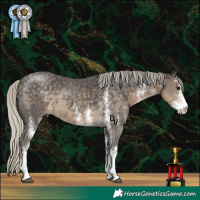 Horse Color:White Spotted Silver Smoky Black Rabicano