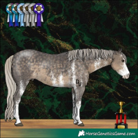 Horse Color:White Spotted Silver Smoky Black Rabicano 