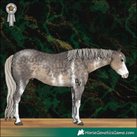 Horse Color:White Spotted Silver Smoky Black Rabicano